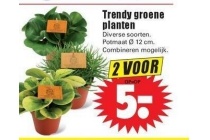 trendy groene planten