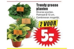 trendy groene planten