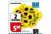 zonnebloemen