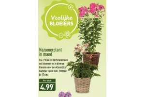 nazomerplant in mand