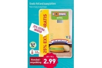 gouda holland kaas jong