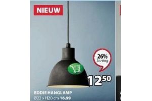 eddie hanglamp nu eur12 50 per stuk