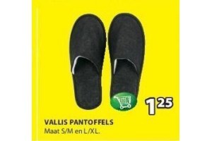 vallis pantoffels nu eur1 25 per stuk