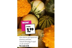 mix kleine pompoenen