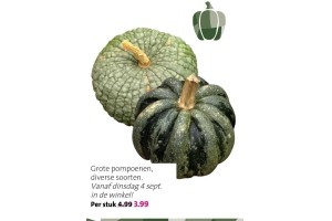 grote pompoenen