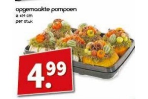 opgemaakte pompoen