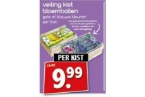 veiling kist bloembollen