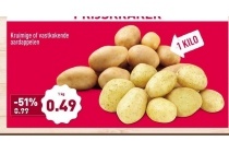 kruimige of vastkokende aardappelen