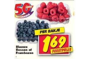 blauwe bessen of frambozen