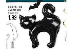 folieballon zwarte kat