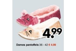 dames pantoffels