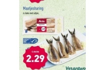 maatjesharing
