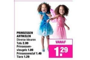 prinsessen artikelen