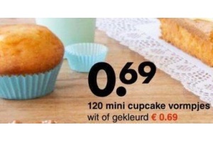 120 mini cupcake vormpjes