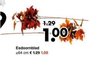 esdoornblad