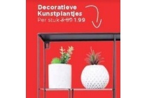 decoratieve kunstplantjes