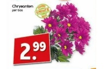 chrysanten nu eur2 99 per bos