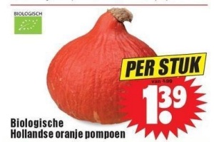 biologische hollandse oranje pompoen nu eur1 39 per stuk