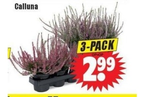 calluna 3 pack nu eur2 99