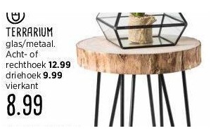 terrarium nu eur8 99 per stuk