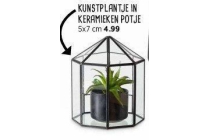 kunstplantje in keramiek potje nu eur4 99 per stuk