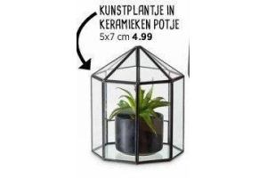 kunstplantje in keramiek potje nu eur4 99 per stuk