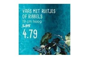 vaas met ruitjes of ribbels nu eur4 79 per stuk