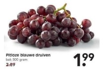 pitloze blauwe druiven