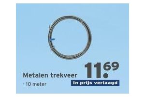 metalen trekveer