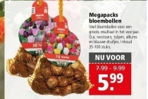 megapacks bloembollen