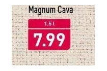 gran livenza cava magnum nu eur7 99 per fles