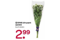 spar chrysant santini