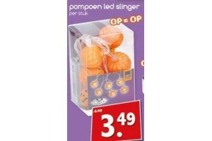 pompoen led slinger