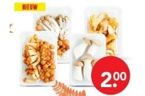 beukenzwammix konings oesterzwam nameco of cantharel