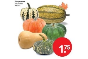 pompoenen
