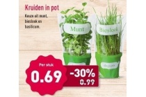 kruiden in pot