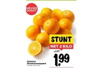 spaanse handsinaasappels