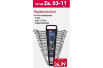 ringsteeksleutelset