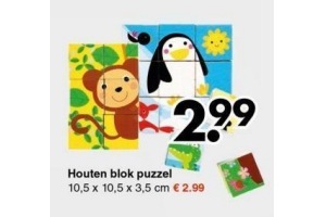 houten blok puzzel