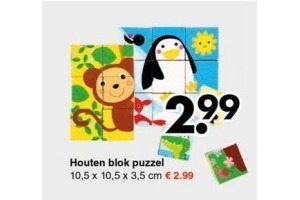 houten blok puzzel