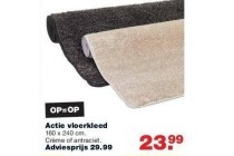 actie vloerkleed