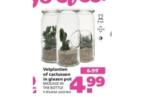 vetplanten of cactussen