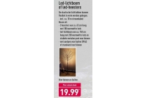 led lichtboom of led heesters