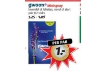 gwoon minispray