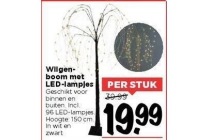 wilgenboom met led lampjes