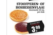 stoofperen of bosbessenvlaai