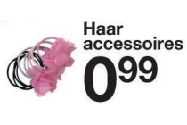 haar accessoires