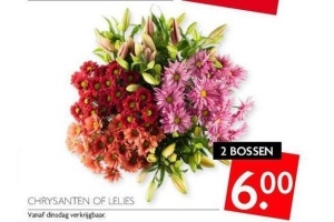 chrysanten of lelies