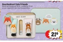 geschenkset cute friends