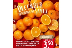 nieuwe oogst spaanse handsinaasappelen of grote mandarijnen